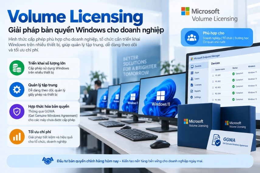 Volume Licensing là giải pháp bản quyền Windows cho doanh nghiệp