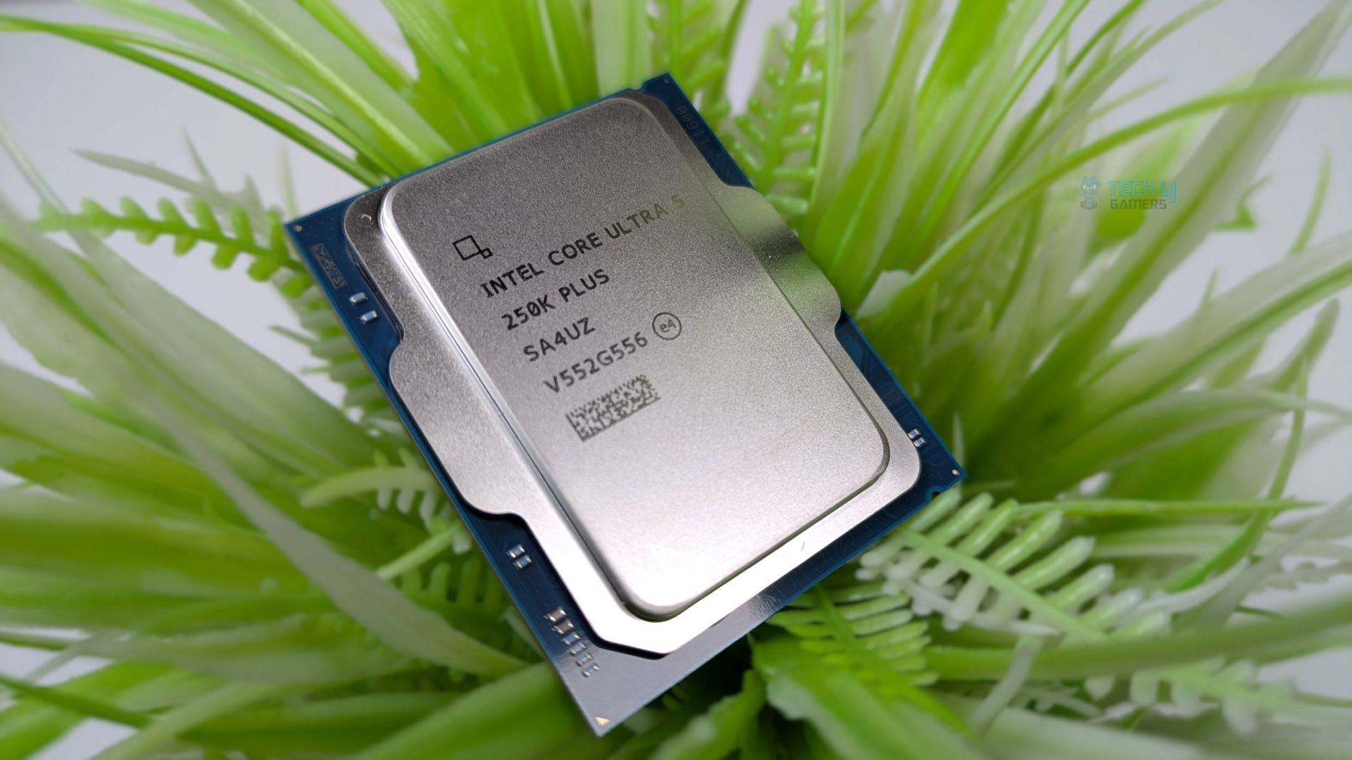 Đánh Giá Intel Core Ultra 5 250K Plus Tray: Kiến Trúc Mới Đột Phá
