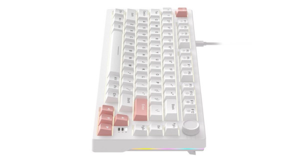 Bàn phím cơ DareU EK75 Full White DareU Dream Switch