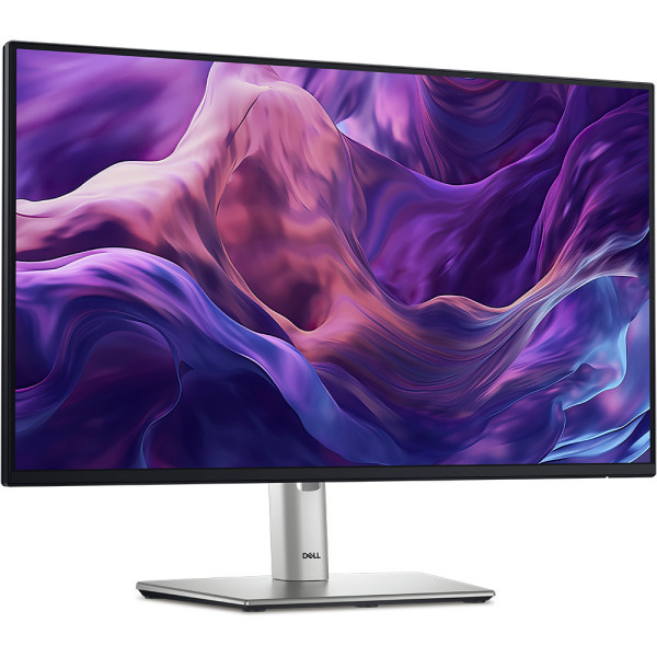 Màn Hình Dell P2425H (23.8 inch - FHD - IPS - 100Hz - 5ms - USB TypeC)