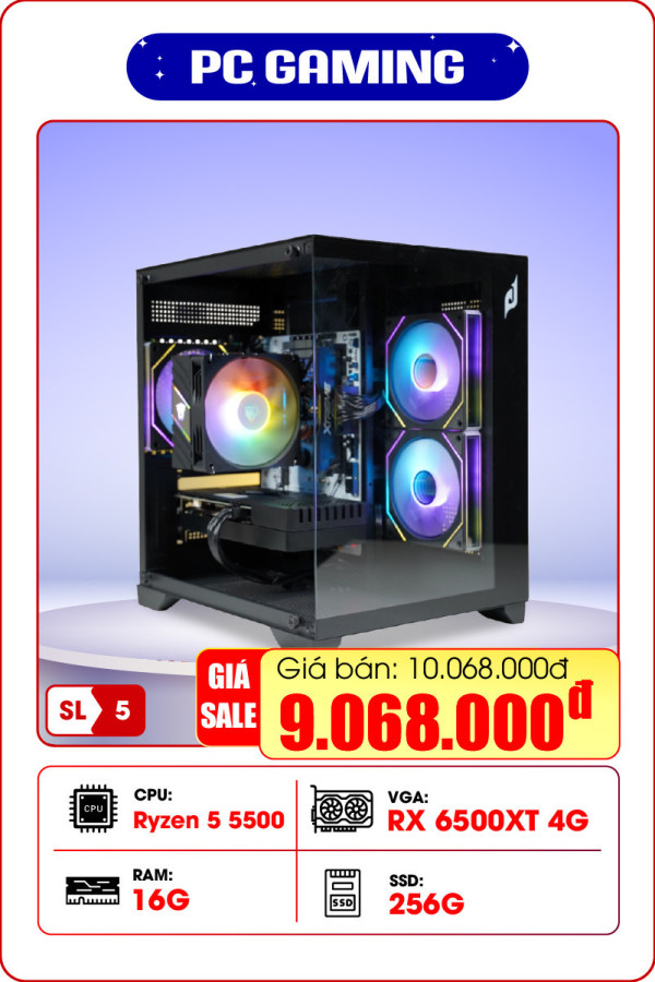 PC Gaming Ryzen 5 5500 | RX6500XT 4G | Ram 16G | NVME 256GB