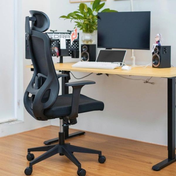 GHẾ CÔNG THÁI HỌC E-DRA EEC222 BLACK