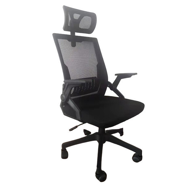 GHẾ CÔNG THÁI HỌC E-DRA EEC218 BLACK