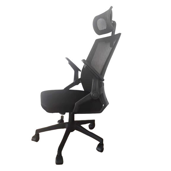 GHẾ CÔNG THÁI HỌC E-DRA EEC218 BLACK