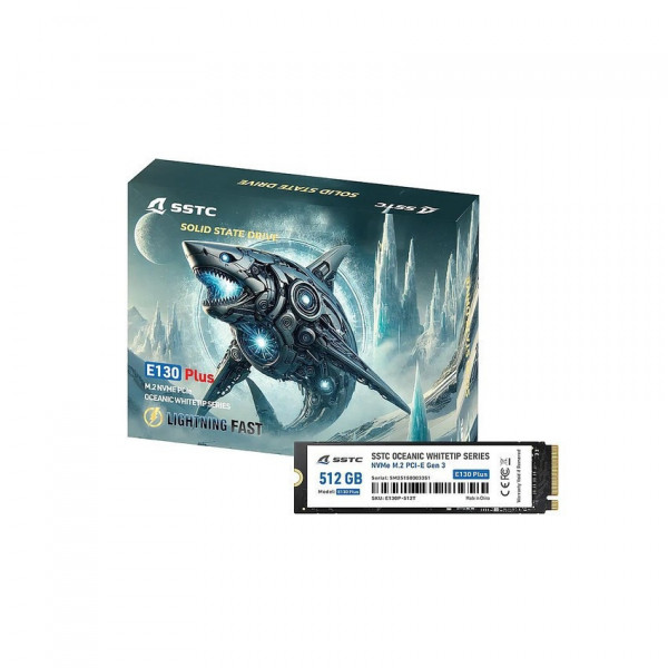 SSD NVME SSTC E130 PLUS 512G (ĐỌC/GHI 3200MB/S -2700MB/S) M.2 GEN 3X4 hoặc SSD NVME CRUCIAL E100 480GB (ĐỌC 4700MB/S GHI 2500MB/S) M.2 PCIE GEN4 X4