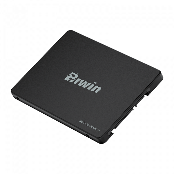 SSD BIWIN 256GB (ĐỌC 550MB/S GHI 470MB/S) M100 2.5'' SATA III (BM100NN256G-RGX)