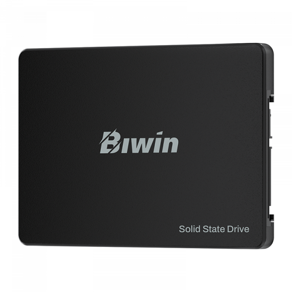 SSD BIWIN 256GB (ĐỌC 550MB/S GHI 470MB/S) M100 2.5'' SATA III (BM100NN256G-RGX)
