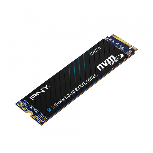 SSD NVME PNY CS1031 256GB PCIE GEN3X4 M.2 2280 (M280CS1031-256-CL)