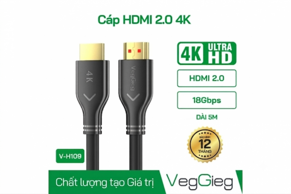 DÂY HDMI 2.0 4K 19+1 5M VEGGIEG VH109