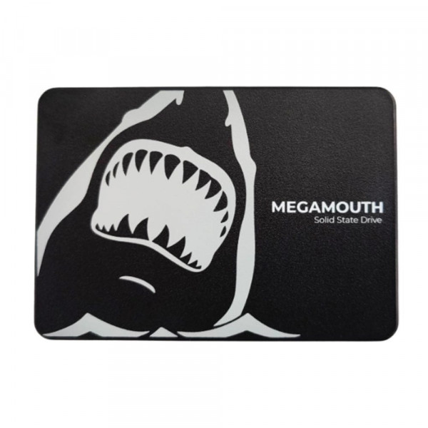SSD SSTC MEGAMOUTH M110 256GB (ĐỌC 540MB/S - GHI 460MB/S) SATA III