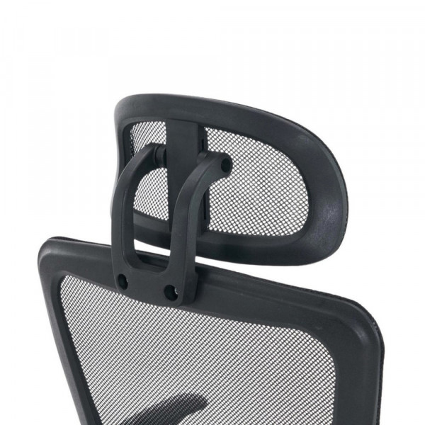 GHẾ CÔNG THÁI HỌC ERGONOMIC E-DRA EEC228 (CHÂN KIM LOẠI)
