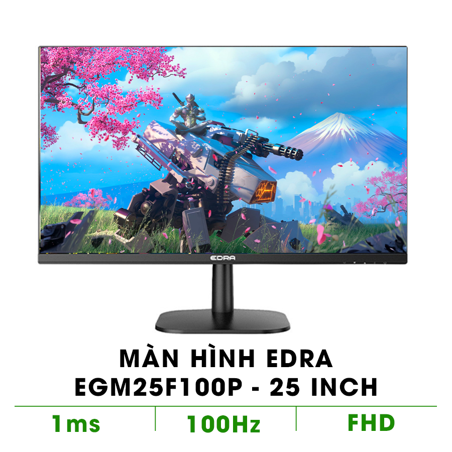 Màn Hình EDRA EGM25F100P (24.5 inch - IPS - FHD - 1ms - 100Hz)